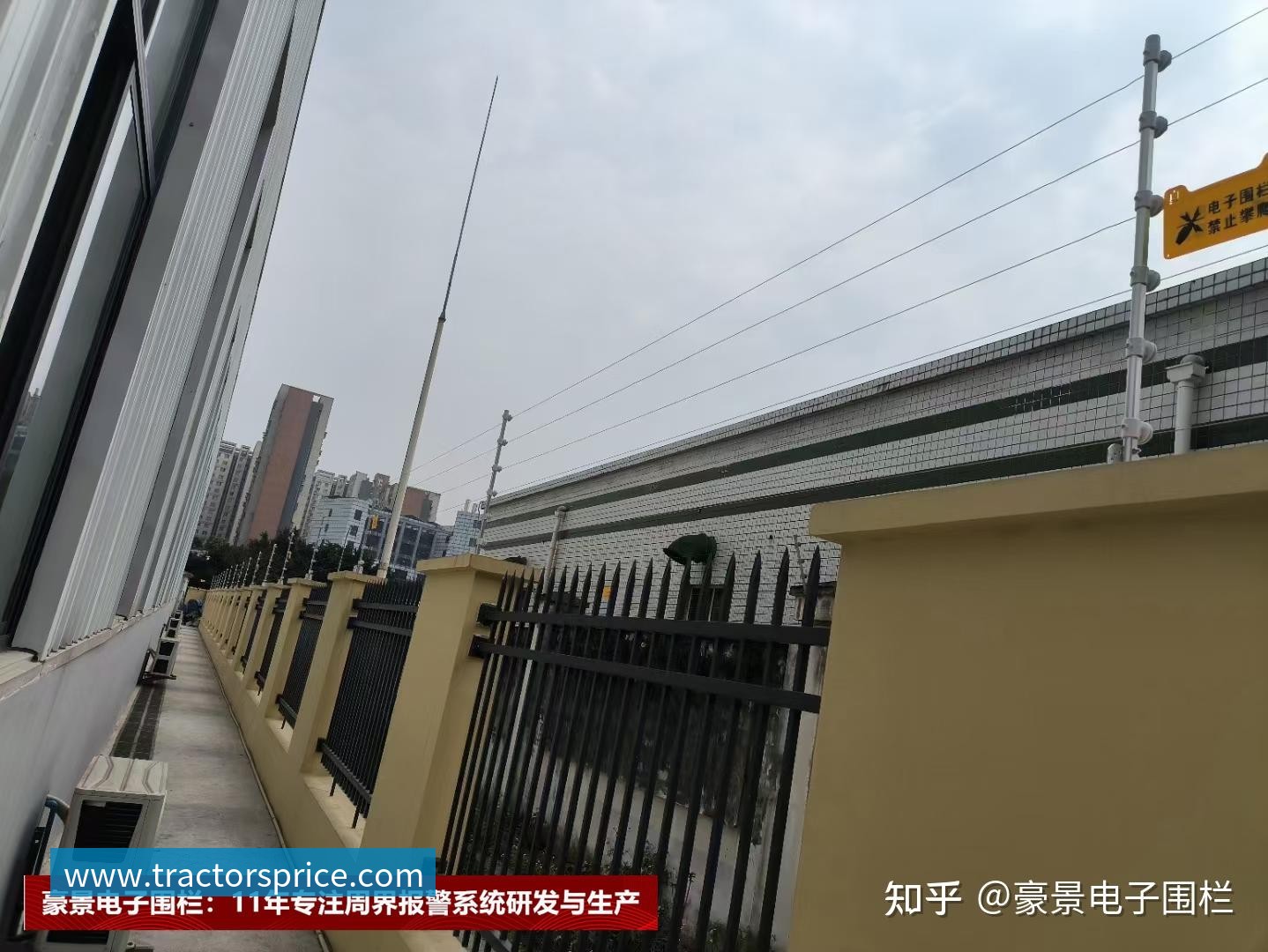 杭州羽毛球队技术革新引发热议助力运动员全面提升竞技水平